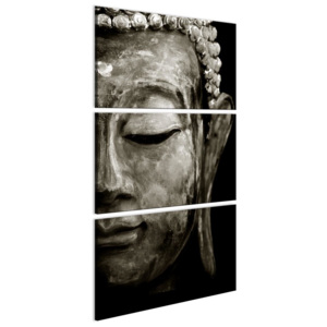 Murando DeLuxe Buddhův sen 51x102 cm