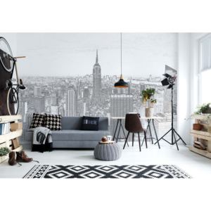 Fototapeta - White And Grey Modern New York Skyline Vliesová tapeta - 206x275 cm