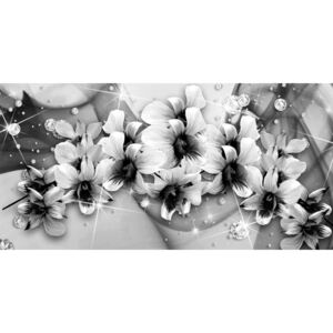 Obraz černobílé květiny na abstraktním pozadí