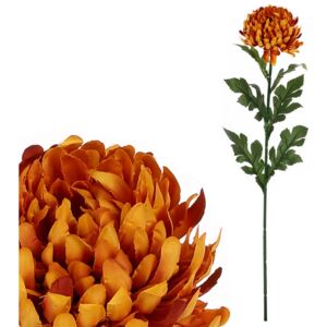 Chryzantéma velkokvětá, jednohlavá, barva tmavě oranžová. KU4345
