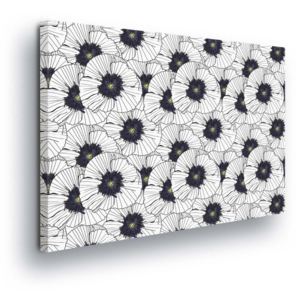 Obraz na plátně - Bílé Květy Vlčích Máků 100x75 cm