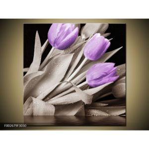 Obraz fialových květů (F002679F3030)