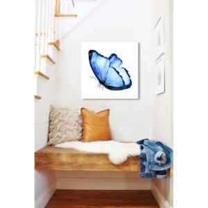 Obraz Modrý Motýl na zrcadle Mirrora 14 - 50x50 cm (Obrazy Mirrora)