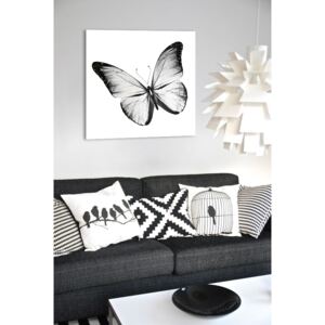 Obraz Bílý Motýl na zrcadle Mirrora 19 - 50x50 cm (Obrazy Mirrora)