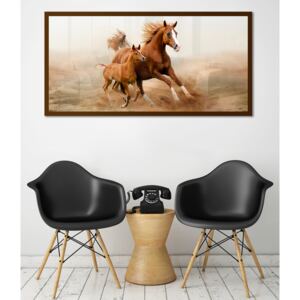 Obraz Hnědé Koně na zrcadle Mirrora 39 - 50x100 cm (Obrazy Mirrora)