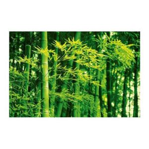 A+G Wizard, 670, Fototapeta Bamboo in Spring-670, 177 x 115 cm