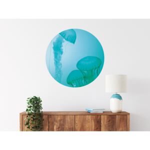 FUGU Přelepovací samolepka na zeď - Zasněné medúzy Podmořský svět Rozměr: Malý kruh 41 cm