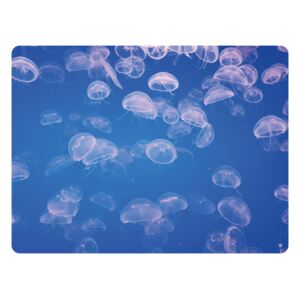 FUGU Eko plakát přelepovací - Medúzy Podmořský svět Rozměr: M: (š x v) 80 x 60 cm