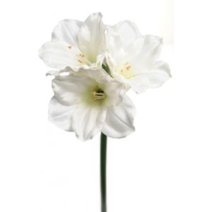 Animadecor Umělá květina - Amaryllis bílý