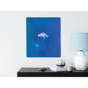 FUGU Eko plakát přelepovací - Svítící medúza Rozměr: S: (š x v) 42 x 48 cm