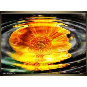 Obraz květu pod hladinou (F001461F7050)