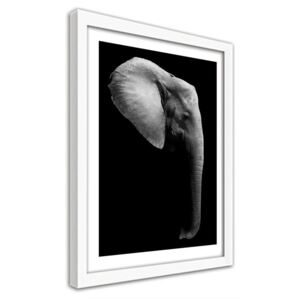 CARO Obraz v rámu - Elephant In Black And White 40x50 cm Bílá