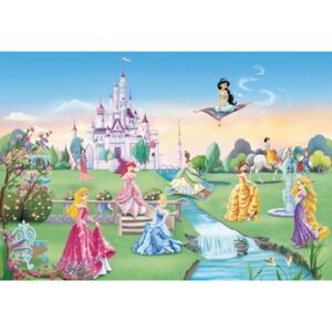 8-414 Obrazová fototapeta Komar Disney Princess Castle, velikost 368 x 254 cm