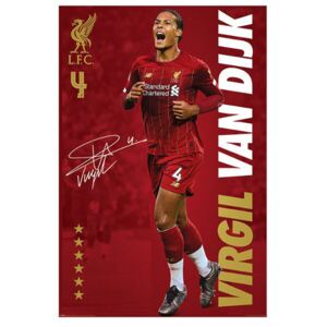 Plakát Liverpool FC: Virgil Van Dijk (61 x 91,5)