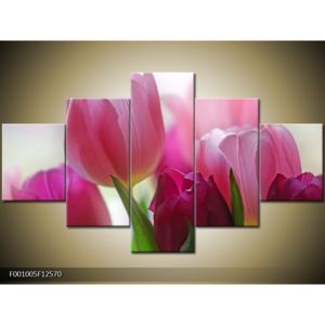 Obraz růžových tulipánů (F001005F12570)