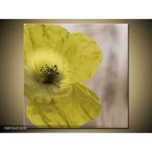 Obraz květu žluté rostliny (F002562F3030)