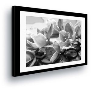 GLIX Obraz na plátně - Černobílé Květy v Paspartě II 100x75 cm