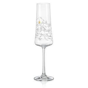 Crystalex Crystales sklenice na šampaňské Love 210 ml 2KS