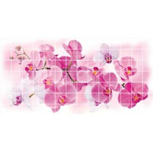 Obkladové 3D PVC panely TP10018768, rozměr 955 x 480 mm, květy orchideje, GRACE