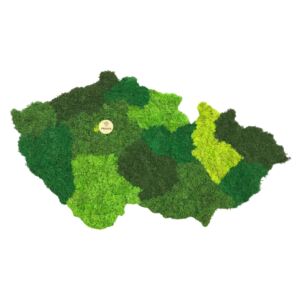 Mechová mapa Špendlíky v mechu - kraje|sobí mech Barva podkladové desky: Černá, Základní edice špendlíků: Hrady a zámky (15 ks)