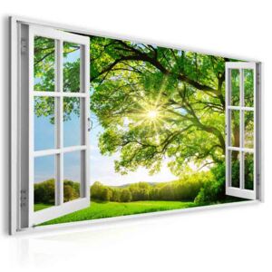 InSmile ® Obraz okno obrovský strom Velikost (šířka x výška): 60x40 cm