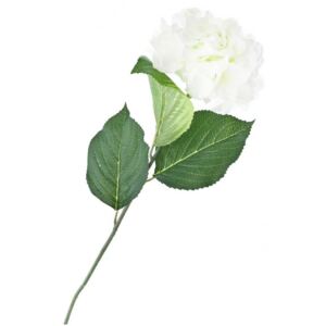Umělá květina, hortenzie bílá 1 ks (Dekorační umělá květina, bílá hortenzie. Celková délka stonku cca 70 cm.)