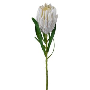Animadecor Umělá květina - Protea bílá 60cm