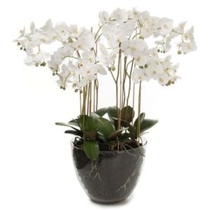 Animadecor Umělá dekorace - Orchidea bohatá bílá ve skle 90cm