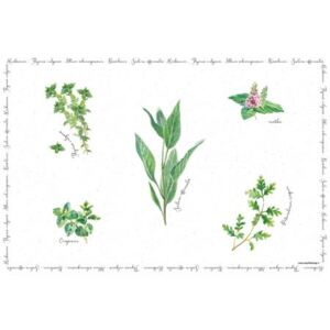 Easy Life Plastové prostírání Herbarium - 45x30cm