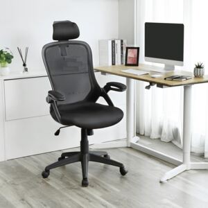 Aldo Kancelářská židle v minimalistickém designu OBN-BK