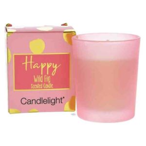DEKORACEASTYL Vonná votivní svíčka ve skleničce a dárkové krabičce Happy Wild Fig 613984