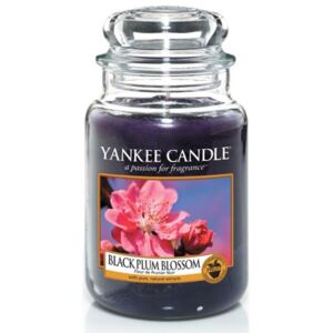 Yankee Candle - vonná svíčka Black Plum Blossom 623g (Značka Yankee Candle se inspirovala magickou vůní růžových kvítků švestky a výsledkem je nádherně sytý nektar půvabných kvítků černé švestky s dotekem bílého pižma a vanilky.)