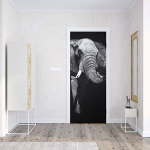 GLIX Fototapeta na dveře - Black And White Elephant | 91x211 cm