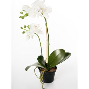 Animadecor Umělá květina - Orchidea v květináči bílá