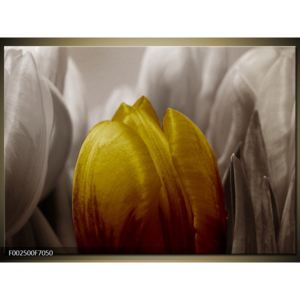Obraz zlatého květu tulipánu (F002500F7050)