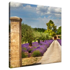 Obraz na plátně Cesta v Provence 30x30cm 1993A_1AI