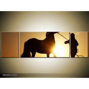 Obraz siluety koně (F001061F17050)