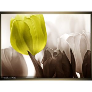 Krásný obraz nazelenalého tulipánu (F002521F7050)