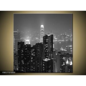 Černobílý obraz Hong Kongu (F001771F3030)