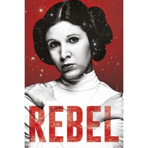 Plakát, Obraz - Star Wars - Leia, (61 x 91.5 cm)