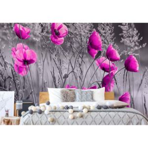 Fototapeta - Purple Poppies Black And White Vliesová tapeta - 206x275 cm