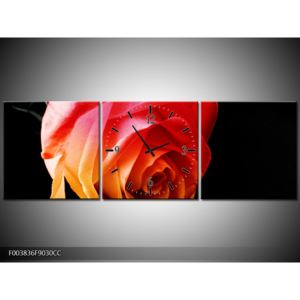 Obraz oranžové růže (F003836F9030CC)