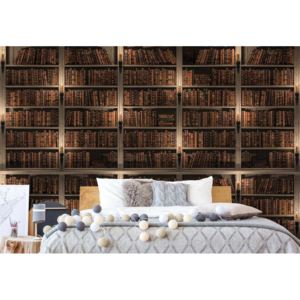 GLIX Fototapeta - Bookshelves I. Vliesová tapeta - 832x254 cm