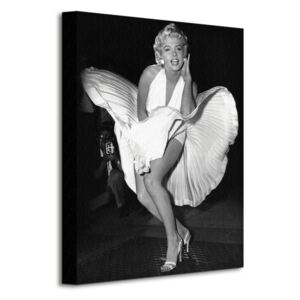 Obraz na plátně Marilyn Monroe (Seven Year Itch) 30x40 WDC92174