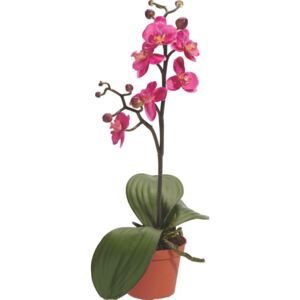 UMĚLÁ ROSTLINA, orchidej - 0030910394