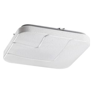 Rabalux Rabalux - LED Stropní svítidlo LED/18W/230V RL2225