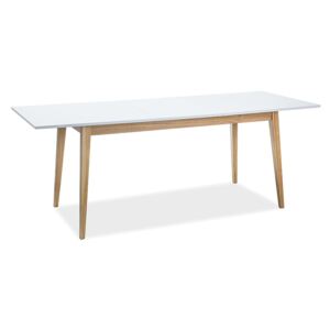 Stůl CESARE bílý mat / dub 120(165)x68