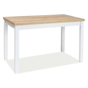 Stůl ADAM dub zlatý craft / bílý mat 100x60, 100 x 60 cm, bílá , dub