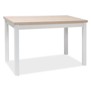 Stůl ADAM dub Sonoma/bílý mat 100x60, 100 x 60 cm, bílá , dub