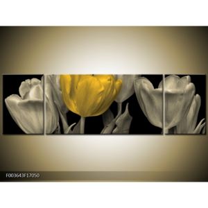 Obraz žluté květiny (F003643F17050)